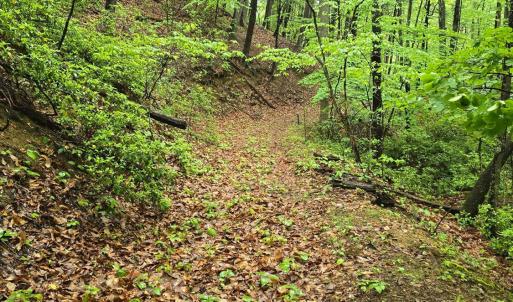 Photo #34 of TBD Audrey Lane, Montvale, VA 170.0 acres