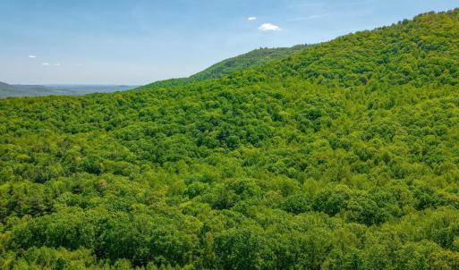 Photo #4 of TBD Audrey Lane, Montvale, VA 170.0 acres