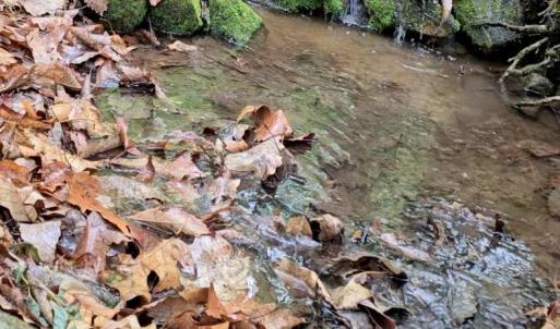 Photo #49 of TBD Audrey Lane, Montvale, VA 170.0 acres