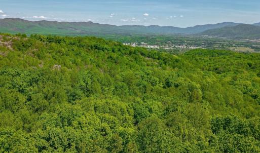 Photo #16 of TBD Audrey Lane, Montvale, VA 170.0 acres