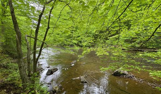 Photo #5 of Hollywood Road, Appomattox, VA 84.4 acres