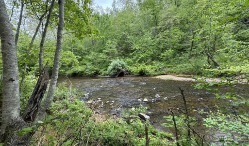 Photo #2 of Hollywood Road, Appomattox, VA 84.4 acres