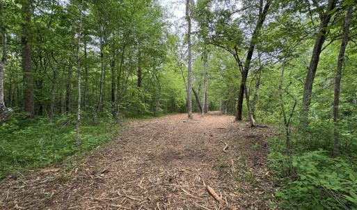 Photo #9 of Hollywood Road, Appomattox, VA 84.4 acres