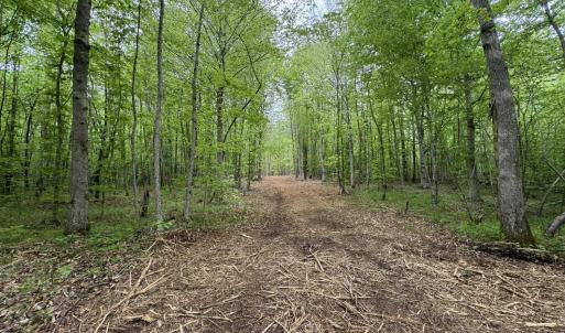 Photo #7 of Hollywood Road, Appomattox, VA 84.4 acres