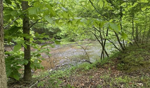 Photo #6 of Hollywood Road, Appomattox, VA 84.4 acres
