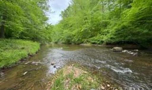 Photo #3 of Hollywood Road, Appomattox, VA 84.4 acres