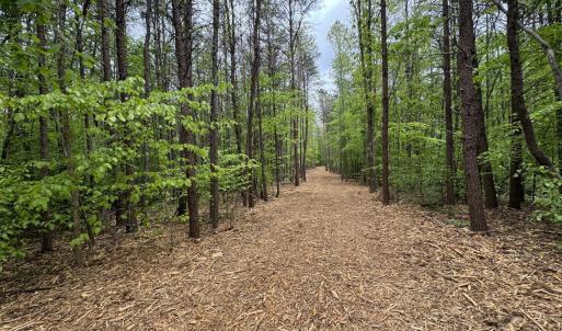 Photo #4 of Hollywood Road, Appomattox, VA 84.4 acres