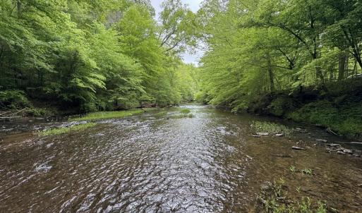 Photo #1 of Hollywood Road, Appomattox, VA 84.4 acres