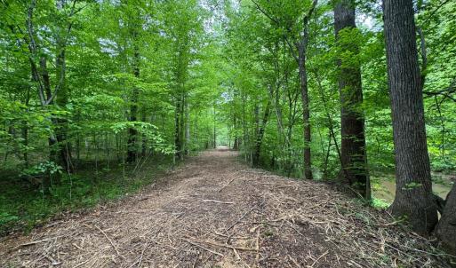 Photo #8 of Hollywood Road, Appomattox, VA 84.4 acres