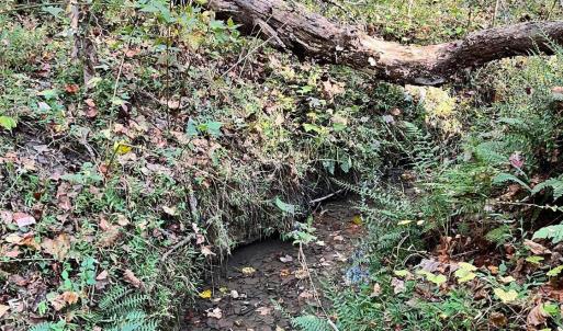 Photo #4 of 3101 Cody Road, Nathalie, VA 17.8 acres