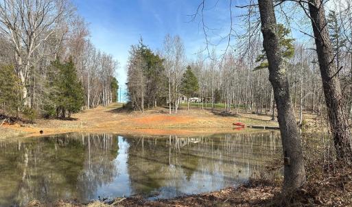Photo #3 of 3101 Cody Road, Nathalie, VA 17.8 acres