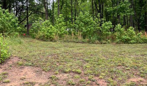 Photo #8 of 3101 Cody Road, Nathalie, VA 17.8 acres