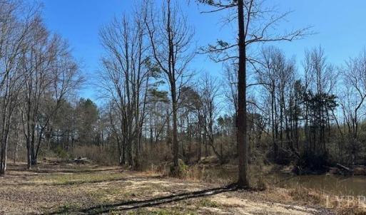 Photo #5 of 3101 Cody Road, Nathalie, VA 17.8 acres