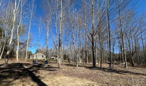 Photo #2 of 3101 Cody Road, Nathalie, VA 17.8 acres