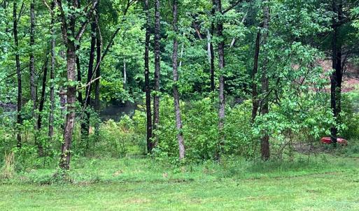 Photo #10 of 3101 Cody Road, Nathalie, VA 17.8 acres