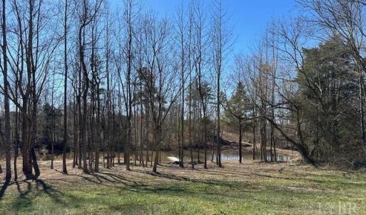 Photo #6 of 3101 Cody Road, Nathalie, VA 17.8 acres