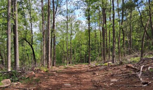 Photo #8 of Robinson Gap Road, Monroe, VA 102.1 acres