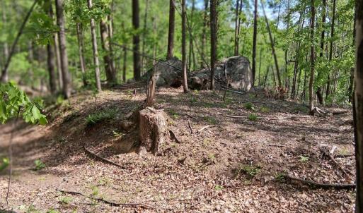 Photo #28 of Robinson Gap Road, Monroe, VA 102.1 acres
