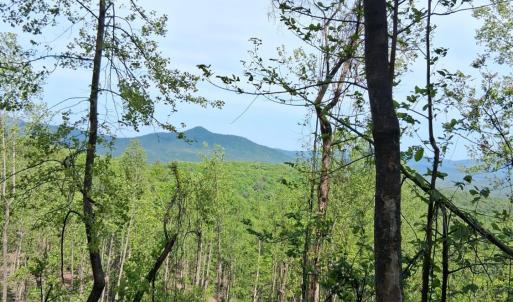 Photo #15 of Robinson Gap Road, Monroe, VA 102.1 acres