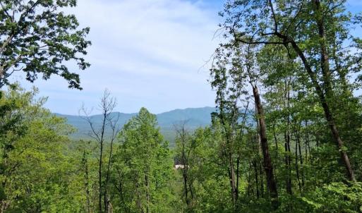 Photo #13 of Robinson Gap Road, Monroe, VA 102.1 acres