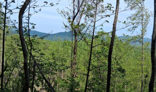 Photo #11 of Robinson Gap Road, Monroe, VA 102.1 acres