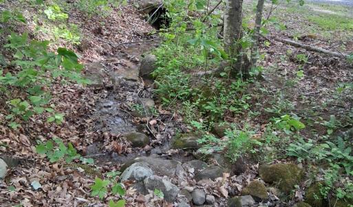 Photo #41 of Robinson Gap Road, Monroe, VA 102.1 acres