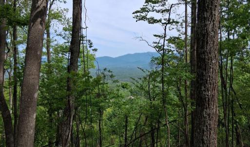 Photo #6 of Robinson Gap Road, Monroe, VA 102.1 acres