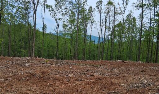 Photo #19 of Robinson Gap Road, Monroe, VA 102.1 acres