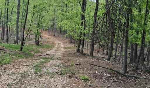 Photo #2 of Robinson Gap Road, Monroe, VA 102.1 acres