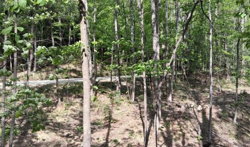 Photo #35 of Robinson Gap Road, Monroe, VA 102.1 acres