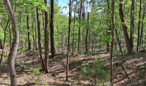 Photo #30 of Robinson Gap Road, Monroe, VA 102.1 acres