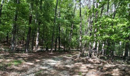 Photo #22 of Robinson Gap Road, Monroe, VA 102.1 acres