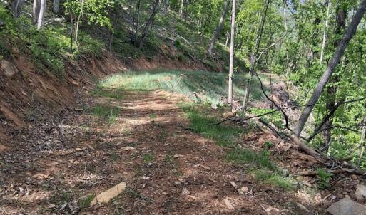 Photo #12 of Robinson Gap Road, Monroe, VA 102.1 acres