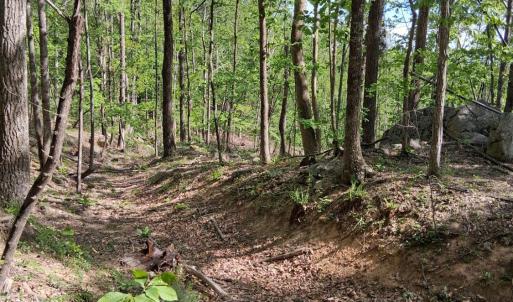 Photo #29 of Robinson Gap Road, Monroe, VA 102.1 acres