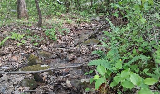 Photo #44 of Robinson Gap Road, Monroe, VA 102.1 acres