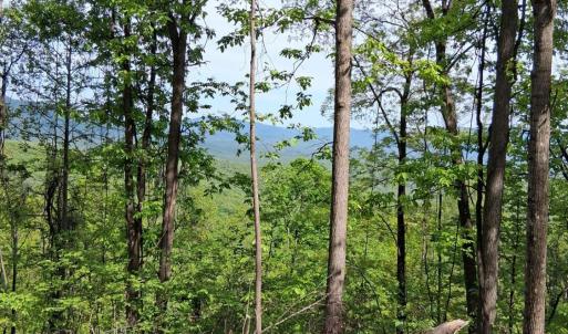 Photo #10 of Robinson Gap Road, Monroe, VA 102.1 acres