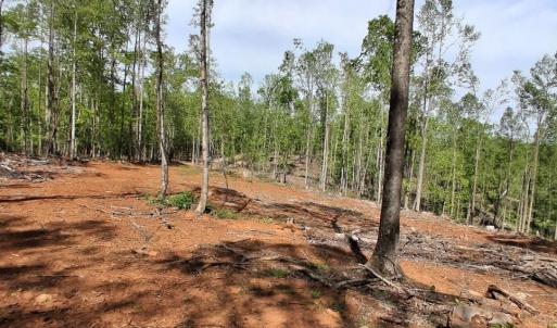 Photo #20 of Robinson Gap Road, Monroe, VA 102.1 acres