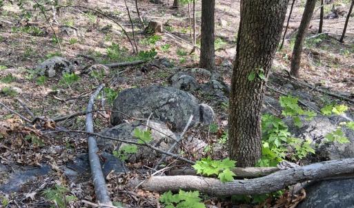 Photo #37 of Robinson Gap Road, Monroe, VA 102.1 acres