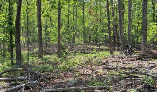 Photo #7 of Robinson Gap Road, Monroe, VA 102.1 acres