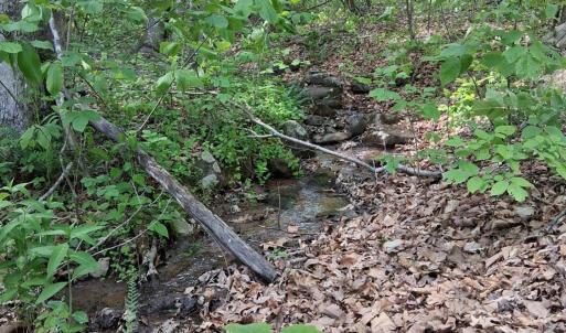 Photo #39 of Robinson Gap Road, Monroe, VA 102.1 acres