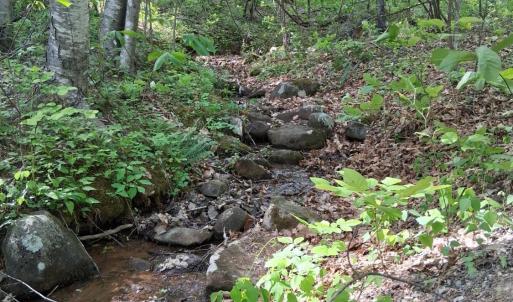 Photo #3 of Robinson Gap Road, Monroe, VA 102.1 acres