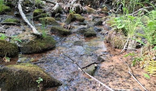 Photo #43 of Robinson Gap Road, Monroe, VA 102.1 acres