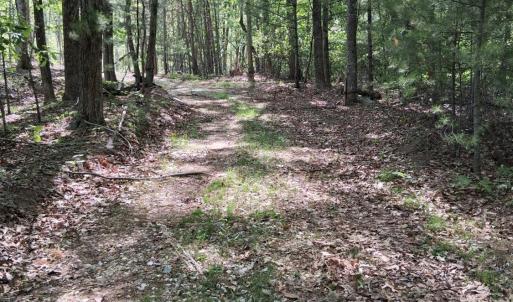 Photo #23 of Robinson Gap Road, Monroe, VA 102.1 acres