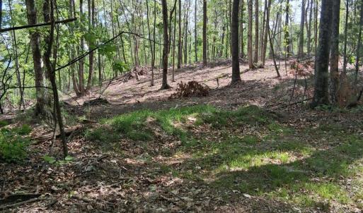 Photo #25 of Robinson Gap Road, Monroe, VA 102.1 acres