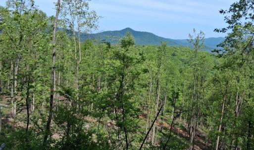 Photo #16 of Robinson Gap Road, Monroe, VA 102.1 acres