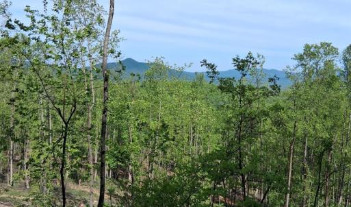 Photo #14 of Robinson Gap Road, Monroe, VA 102.1 acres
