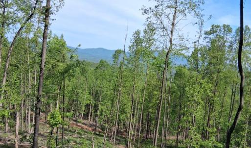 Photo #17 of Robinson Gap Road, Monroe, VA 102.1 acres