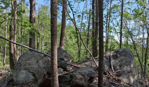 Photo #32 of Robinson Gap Road, Monroe, VA 102.1 acres