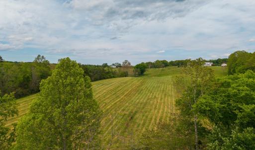 Photo #16 of Tin Top Place, Appomattox, VA 20.1 acres