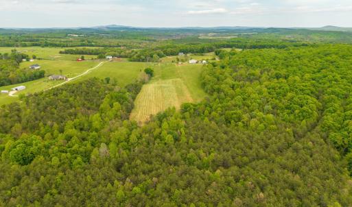 Photo #14 of Tin Top Place, Appomattox, VA 20.1 acres